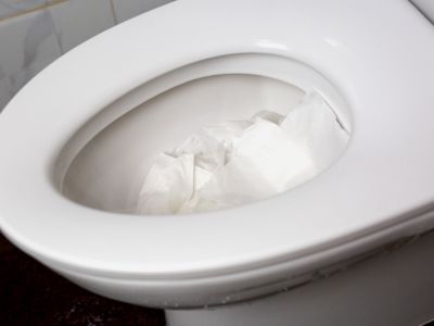 toilet 